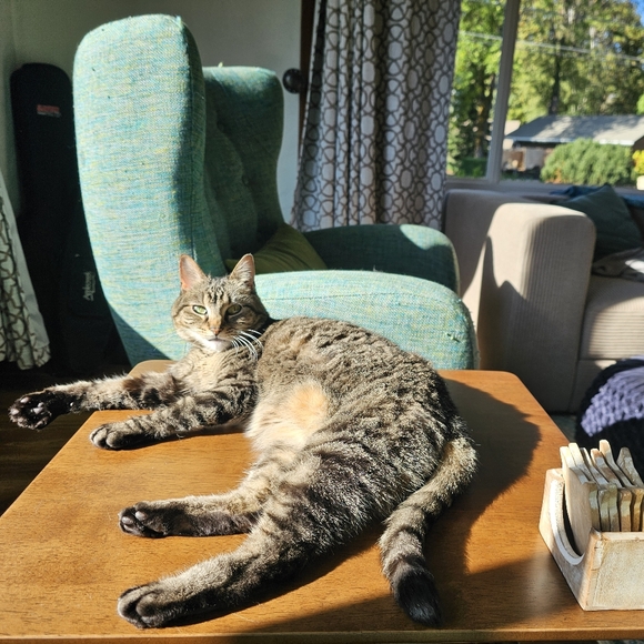 Greetings, I'm Acacia and I'll be your Faerie Odd Mother! - Picture 10 of 12